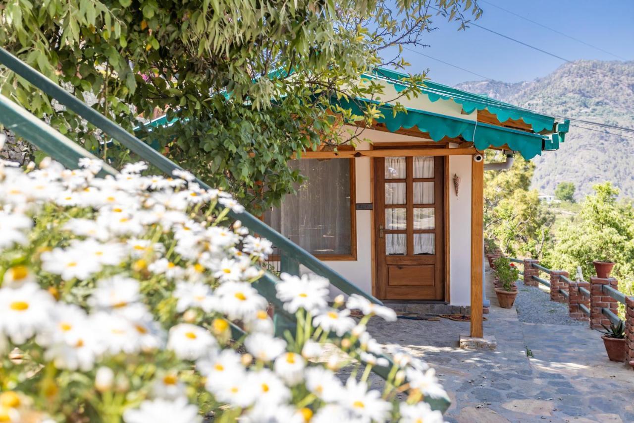 Seclude Ramgarh Willows Dış mekan fotoğraf